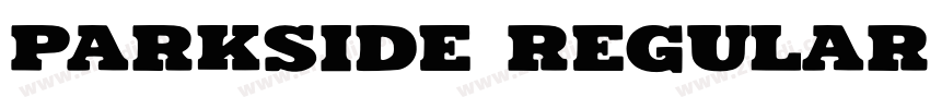 Parkside Regular字体转换